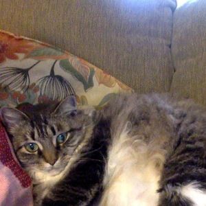 Meet your Posher, Carolyn